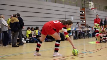 Bild 8 - Videos
